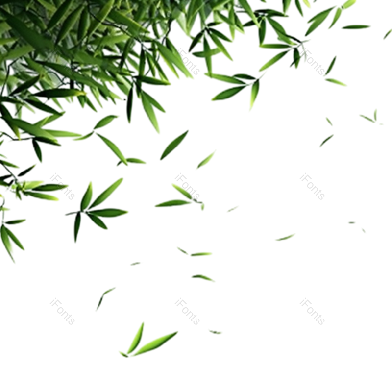叶子图片,竹叶元素,夏天PNG,简约免抠素材